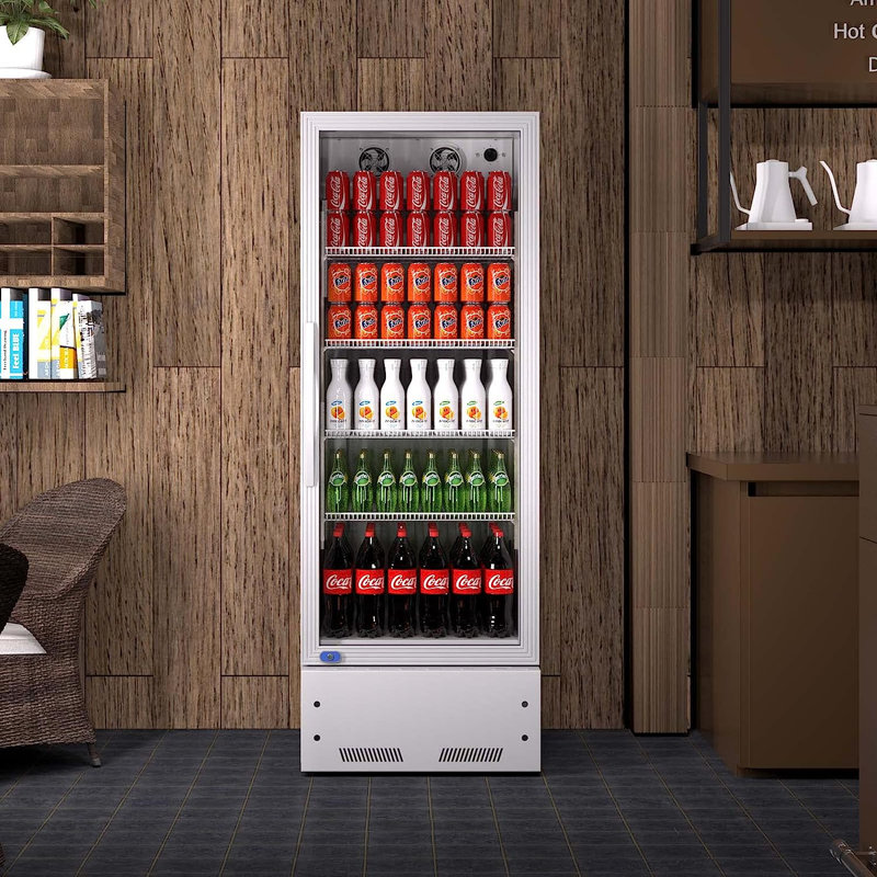 Réfrigérateur et refroidisseur commercial de boissons de 21,7 po avec porte vitrée Kichking, Argent