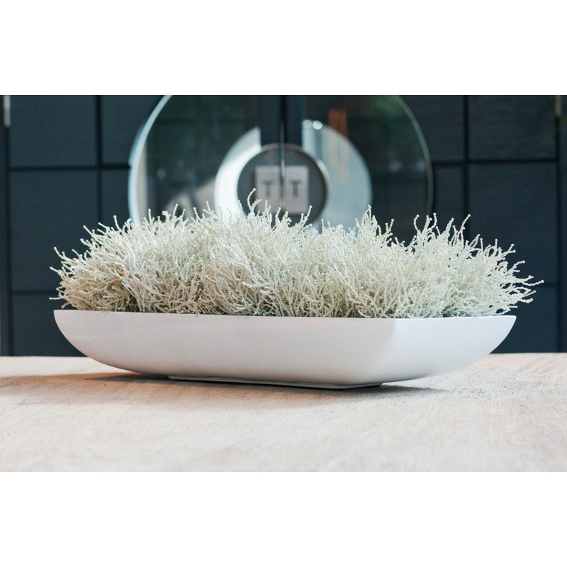 Tynita Handmade Glass Planter, 3" H x 19" W x 7.5" D