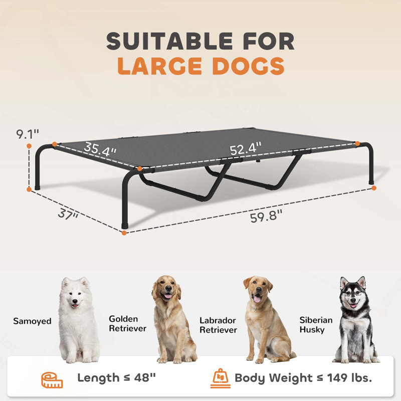 Grand lit pour animal de compagnie, lit surélevé pour chien, Black/Grey