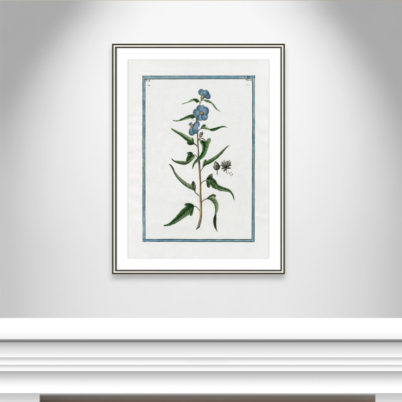Colombe Shabby Elegance Botanical I - Art encadré avec fond perdu, L 26,75 po x H 36,75 po, Cadre argenté