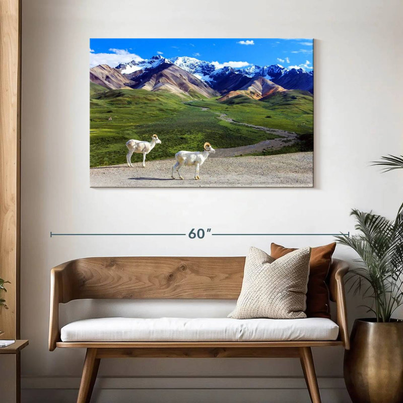 Rorry Dall Sheep In Denali, 30" H x 45" W