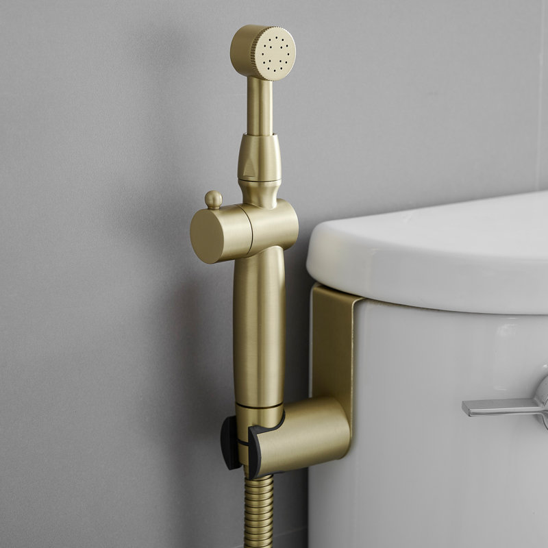 Hand Held Bidet, Brushed Gold