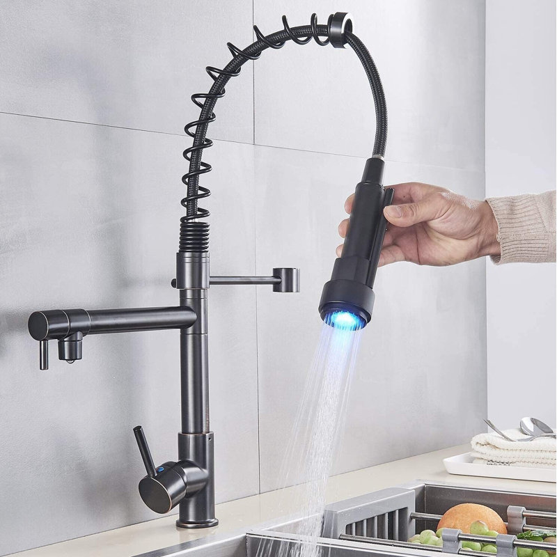 Belfry Kitchen Genevrier Pull Out Kitchen Faucet