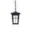Luminaire suspendu d'extérieur noir Joelle 7 pouces