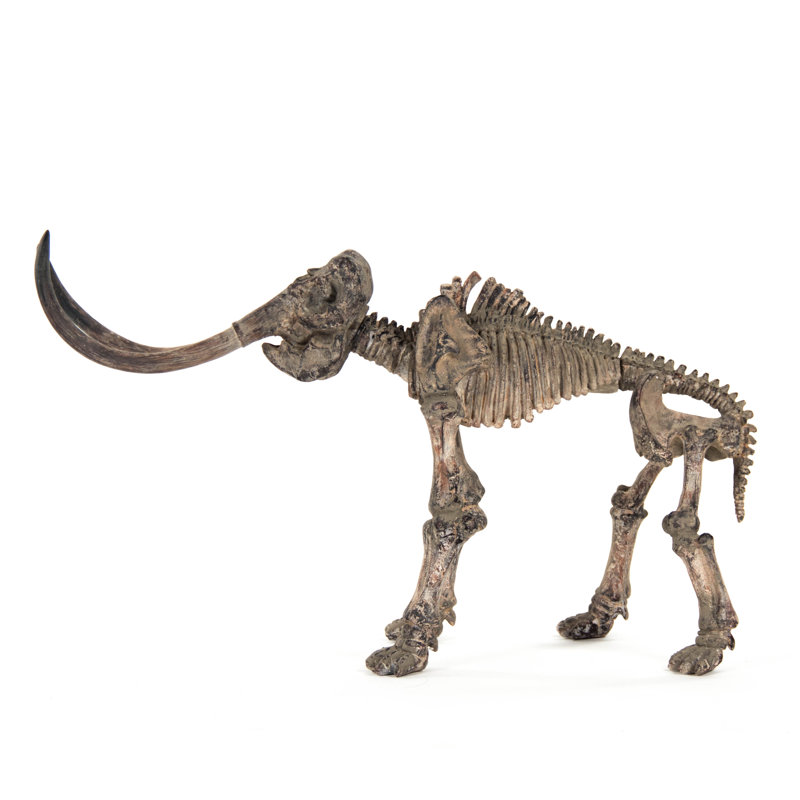 Décoration murale squelette mammoth