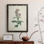 Toile encadrée de qualité supérieure Traditional Botanical II - prête à être accrochée-98786596-98786597