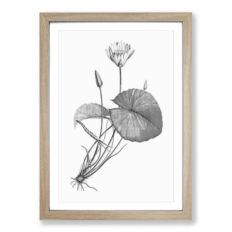 Egyptian Lotus Flower - Picture Frame Painting Print, 36cm H x 27cm W x 2cm D, Oak Framed