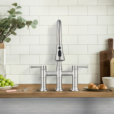 PROOX Pull Out Kitchen Faucet