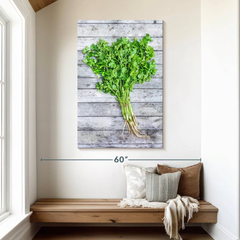 Harnek Cilantro, 48" H x 32" W
