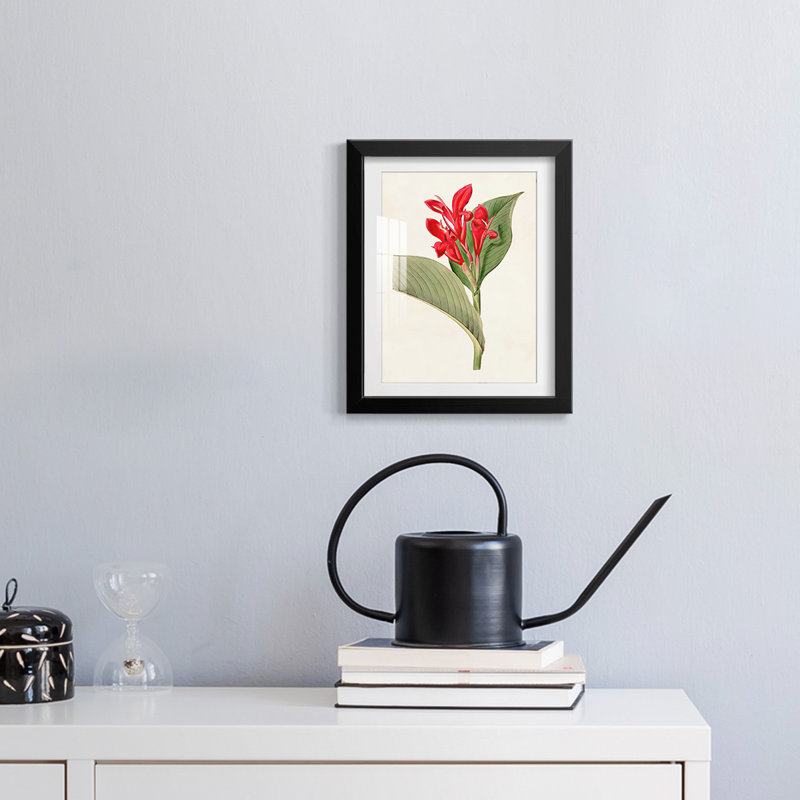 Chordata II -Gallery Wrapped Canvas
