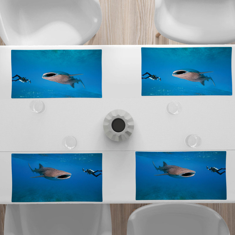 Récapitulatif 18,5" shark