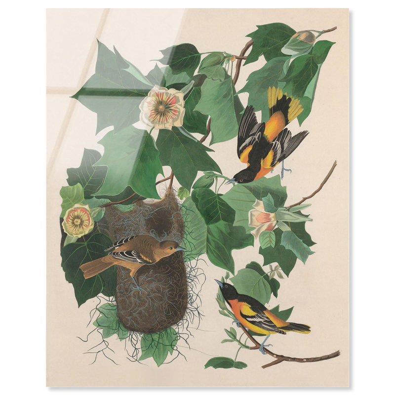 «Three Orioles», reproduction d'art acrylique par Art Remedy, H 20 po x l 16 po