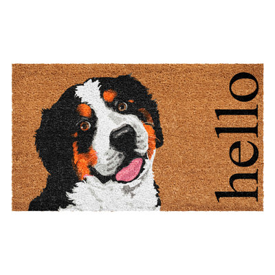 Non-Slip Doormat