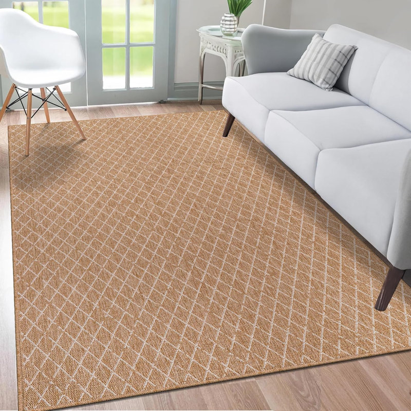 Non Slip Area Rugs Washable Carpet Pad Entryway Rug Weather Resistant Indoor and Outdoor Use 840306, Rectangle 160 x 230 cm
