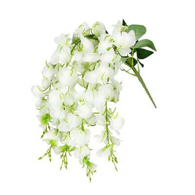 Buisson de glycine suspendu