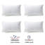 Ensemble de coussins d'extérieur imperméables, coussins décoratifs-133879547-133949049