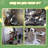 CY14 Christmas Cat Tree