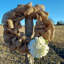 Couronne de jute 17 po