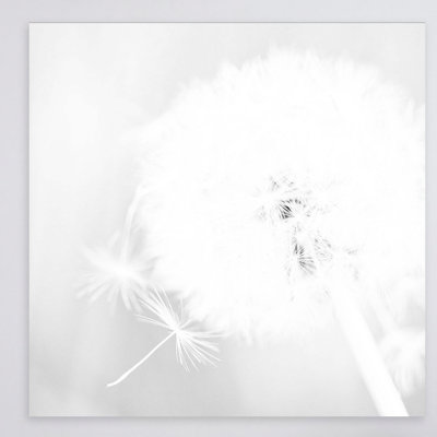 Float Free - Wrapped Canvas Print
