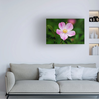 «Gordon River», art sur toile par Gordon Semmens
