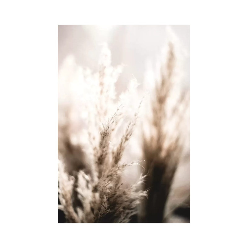Pampas Reed V by Monika Strigel - Wrapped Canvas Print, 66.04 cm H x 45.72 cm W x 3.175 cm D