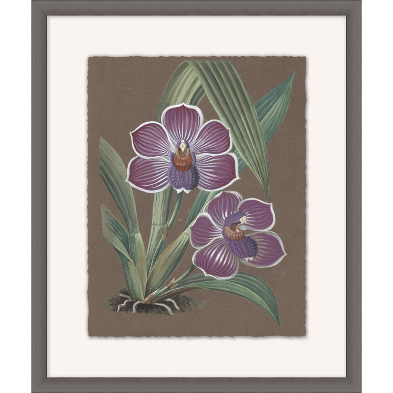 Orchid Study 7 Painting