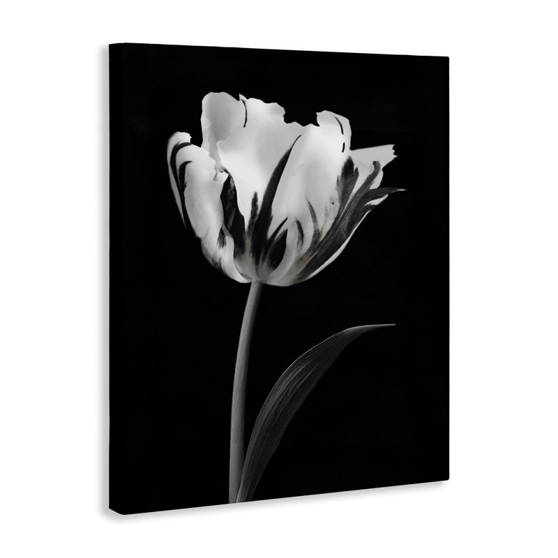 Toile noire moderne Modern Flower, conçue par CAD Designs, H 20 po x l 16 po