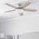 Carmel 48'' Ceiling Fan with LED Lights and Remote Included