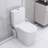 Toilet With 600W Powerful : Dual Flush, 17.25" Compliant Seat, Soft-Close, 3 Water Entries, White Modern For Basement: Comfort Soft-Close Lid, Inlets,