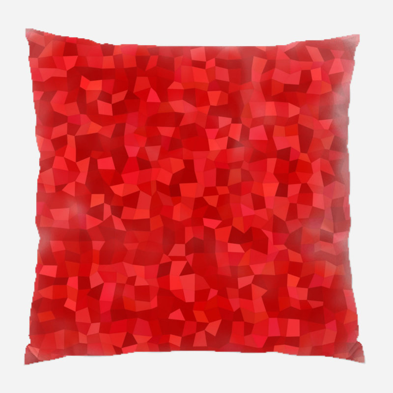 Coussin décoratif