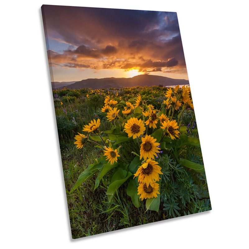 X0243 Wild Flowers Sunset Mountain - Wrapped Canvas Print, 30cm H x 20cm W x 2cm D