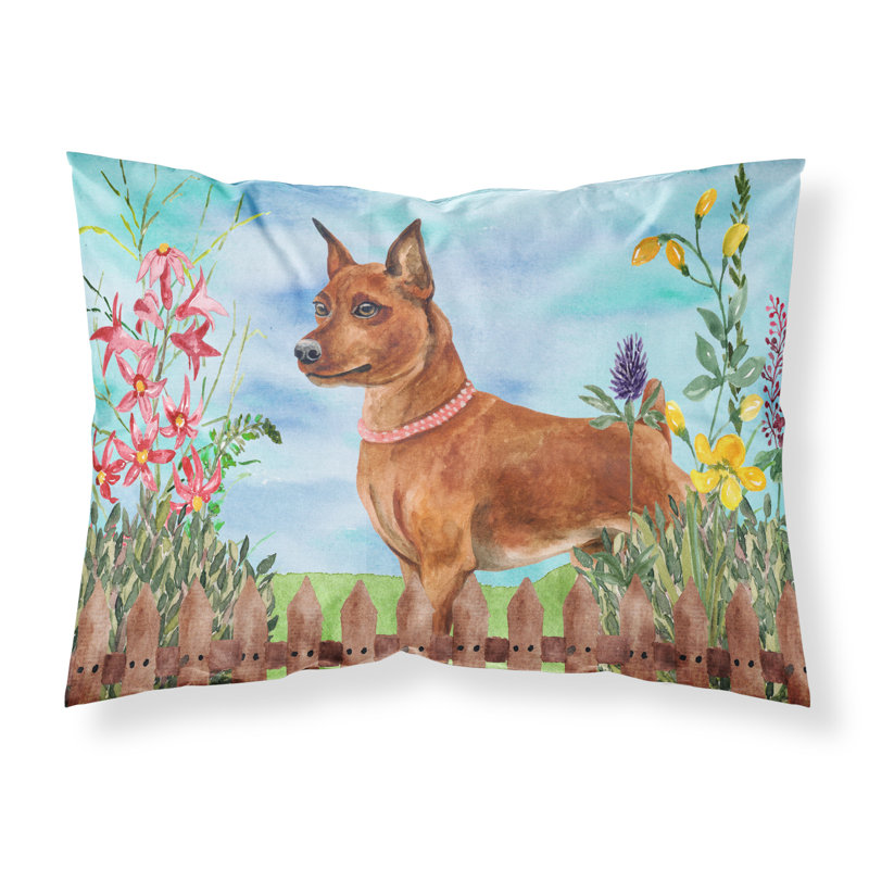 Alaskan Microfiber, Brown Miniature Pinscher