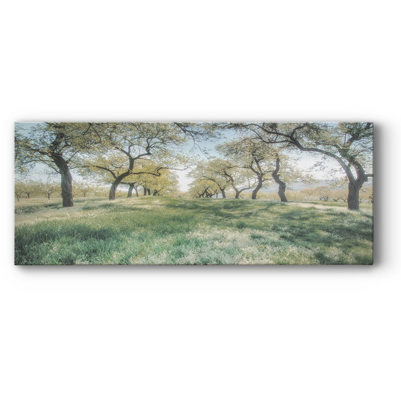 Charmante humeur printanière sur toile, H 12 po x l 30 po x P 1,5 po