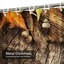 Rideau de douche Golden Autumn-331052988