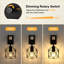 Armed Sconce