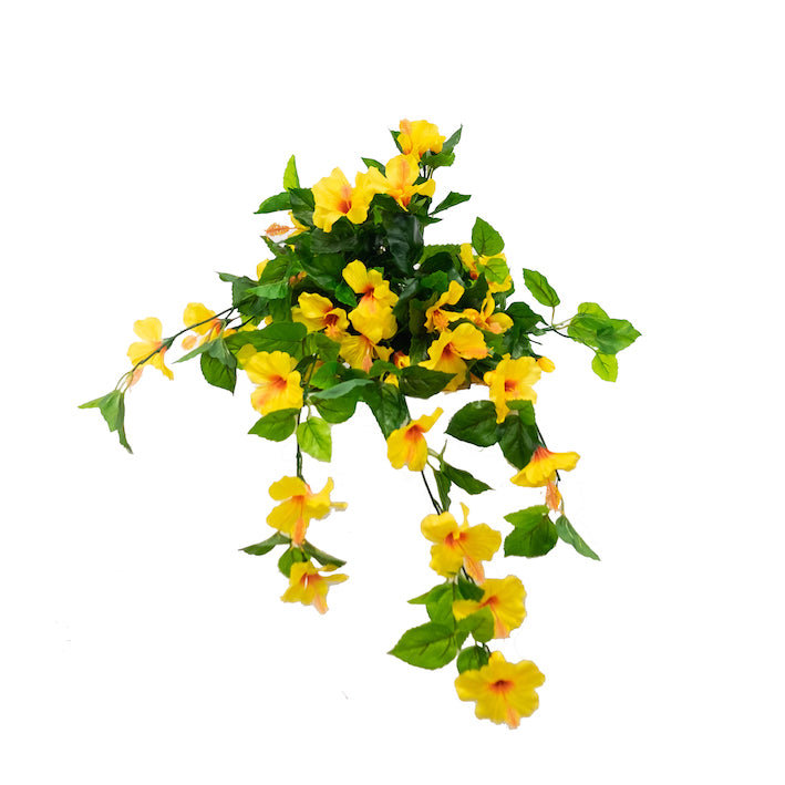 Hibiscus dans un panier, Jaune