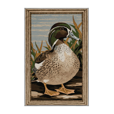  Tapis lavable American Wigeon Birds