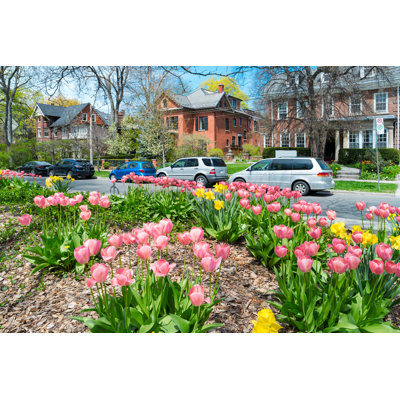 Homes in the Annex Neighbours par Benedek