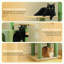 Arbre à chat inférieur pour chats d'intérieur, tour pour chat à plusieurs niveaux de 62 po avec 2 condos spacieux, patin à griffer, 4 poteaux à griffer, 2 perchoirs supérieurs, 2 pompons-1185197489