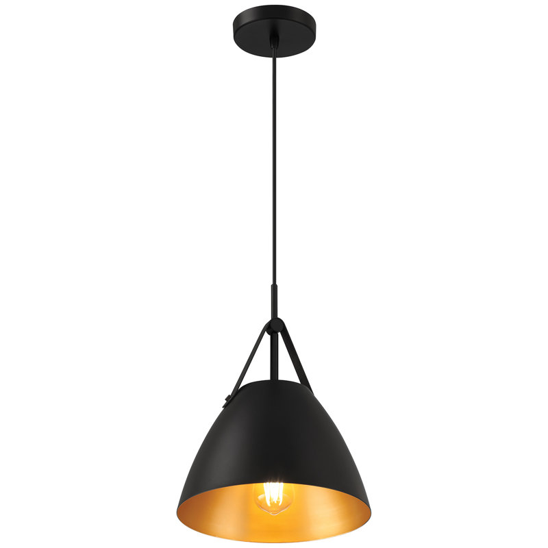 Luminaire suspendu 1 lumière Roxeanne