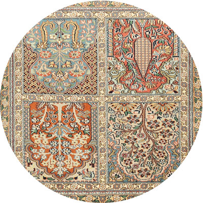 Cianan Oriental Indoor Rug
