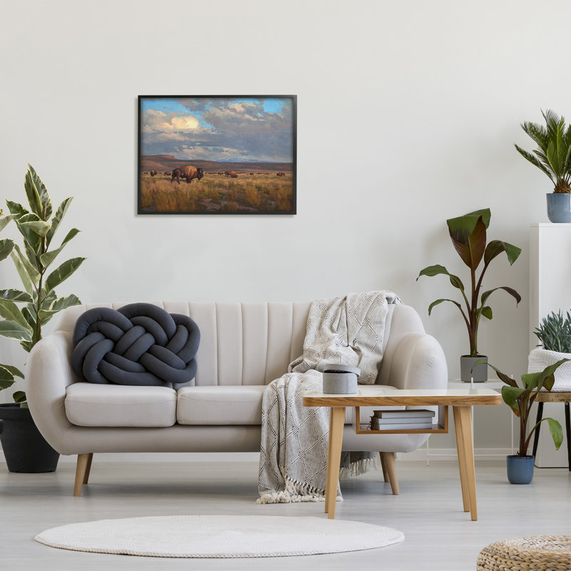 Az-385 - Paysage nuageux Buffalo, H 24 po x l 30 po x P 1,5 po, Giclée encadrée noir minuit