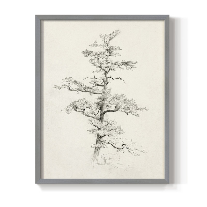 Reproduction encadrée rétro XC - bois massif, Gris, H 30 po x l 24 po