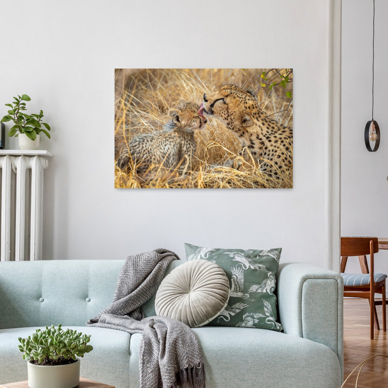 Cheetah Mother Cub Affection Contemporary Cat Animal Nature Wall Art Print by Jeffrey C. Sink - 1 Piece Wrapped Canvas Wall Art