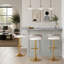 Adjustable Barstool-441856785-441856786