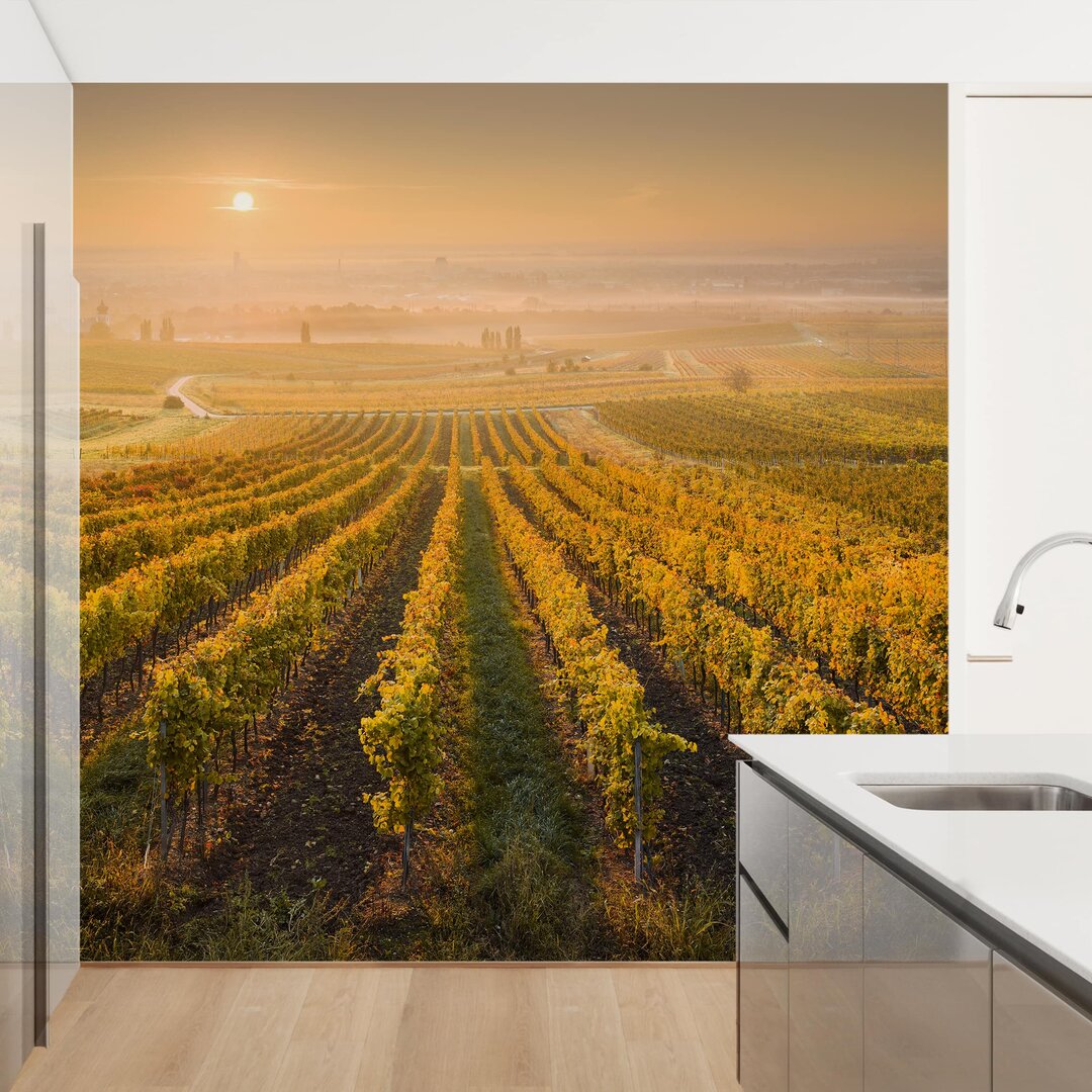 Geprägte Tapete Autumnal Vineyards outside Vienna 1,92 m x 192 cm