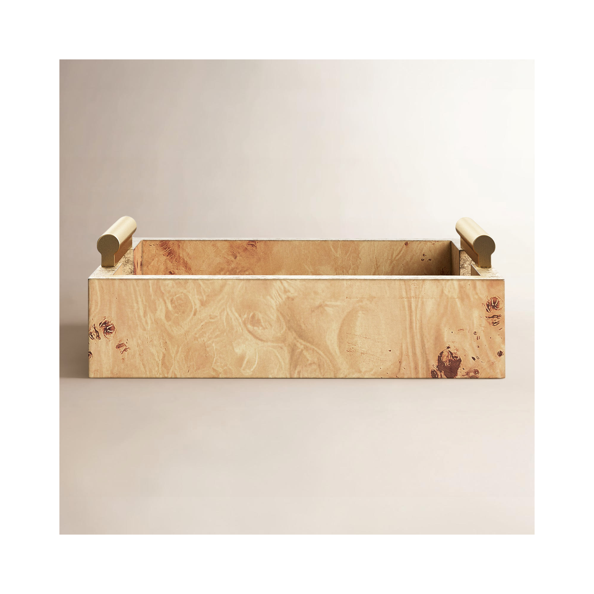 Niara Modern Tray - Set of 1, 2" H x 9.5" D x 5.5" W