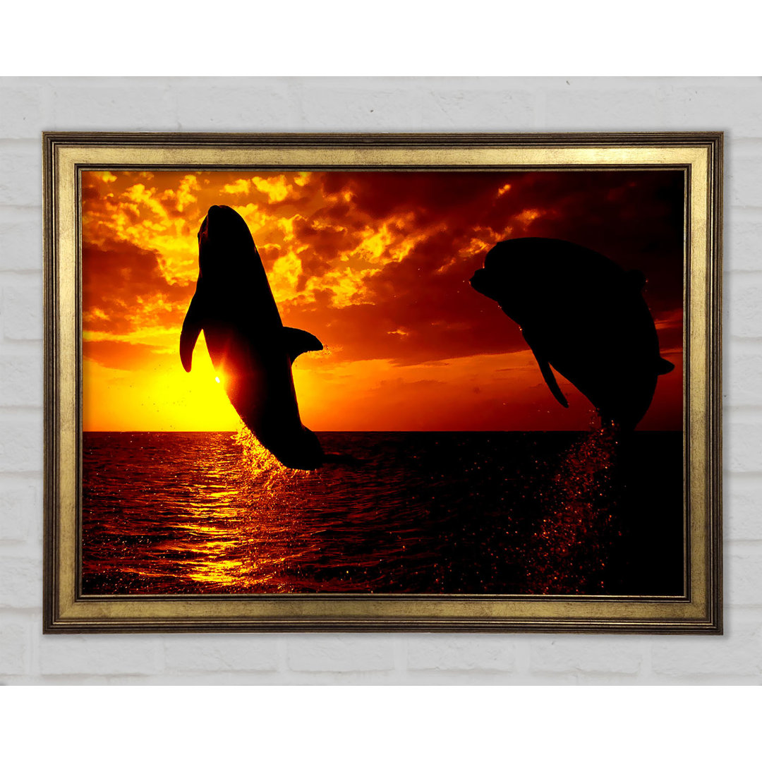 Gerahmter Fotodruck Dolphins Sunglow