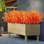 Christmas Decorative Accent