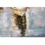 Canvas Picture Harbour Romance